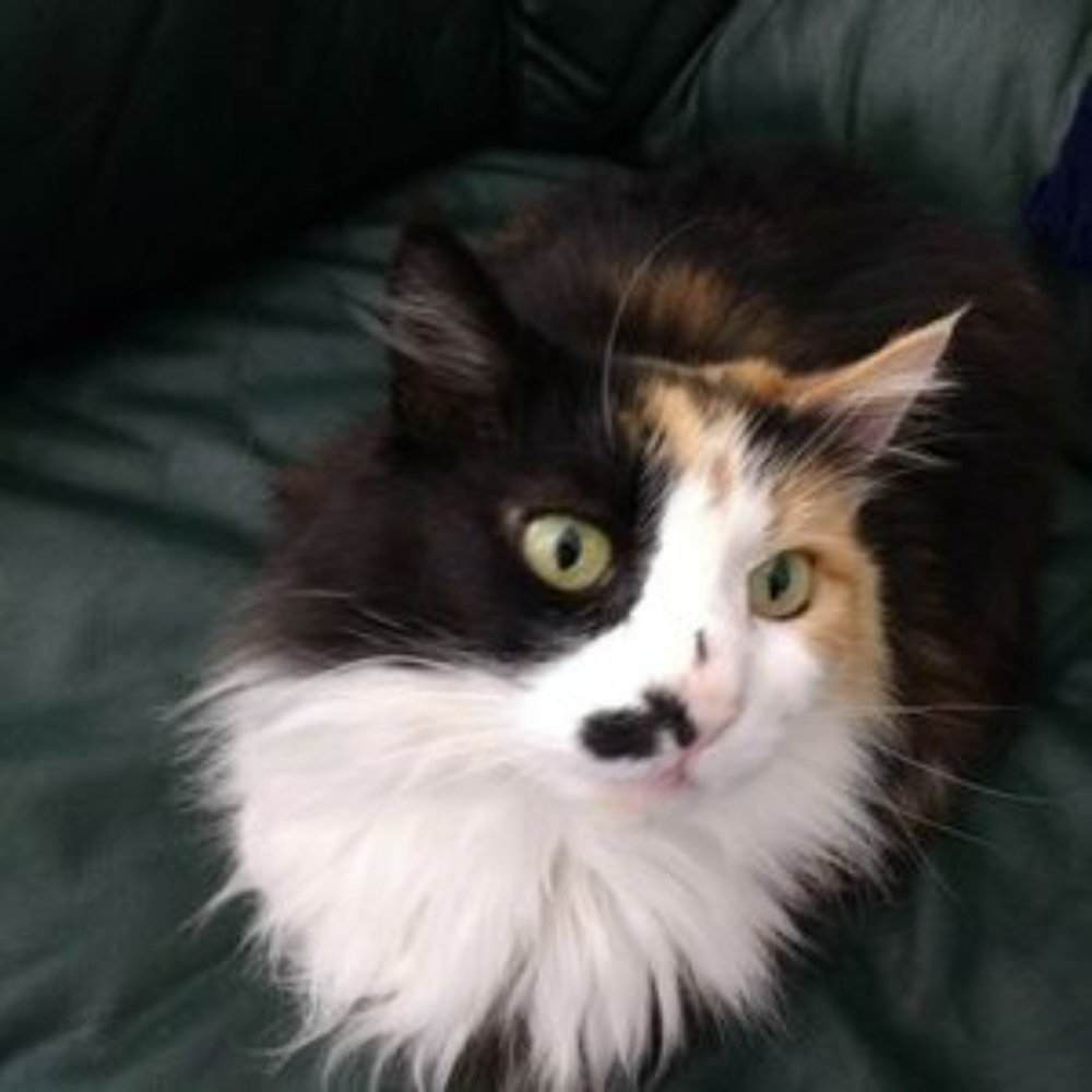 DO I HAVE A BUG ON MY NOSE? - Picture 3 of 3
